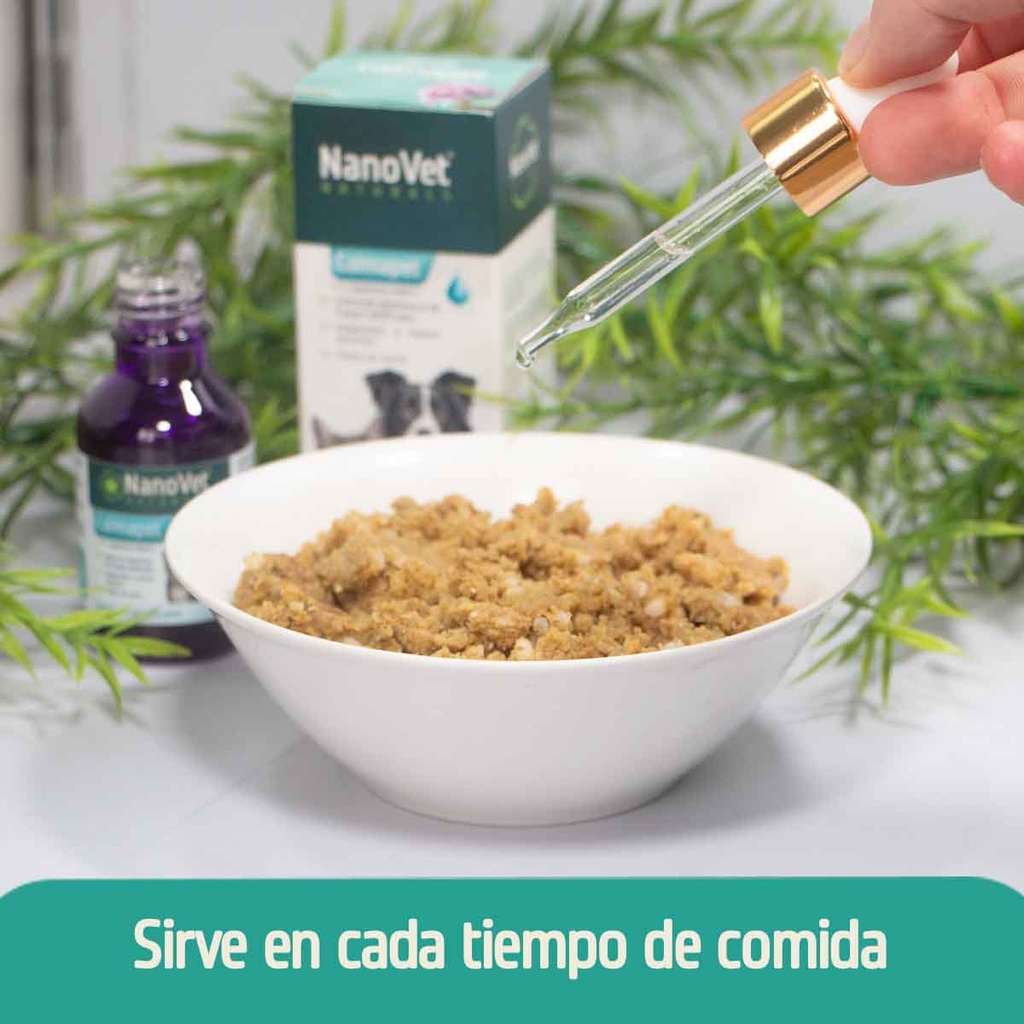 Recomendación de Uso