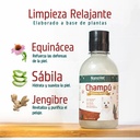Ingredientes