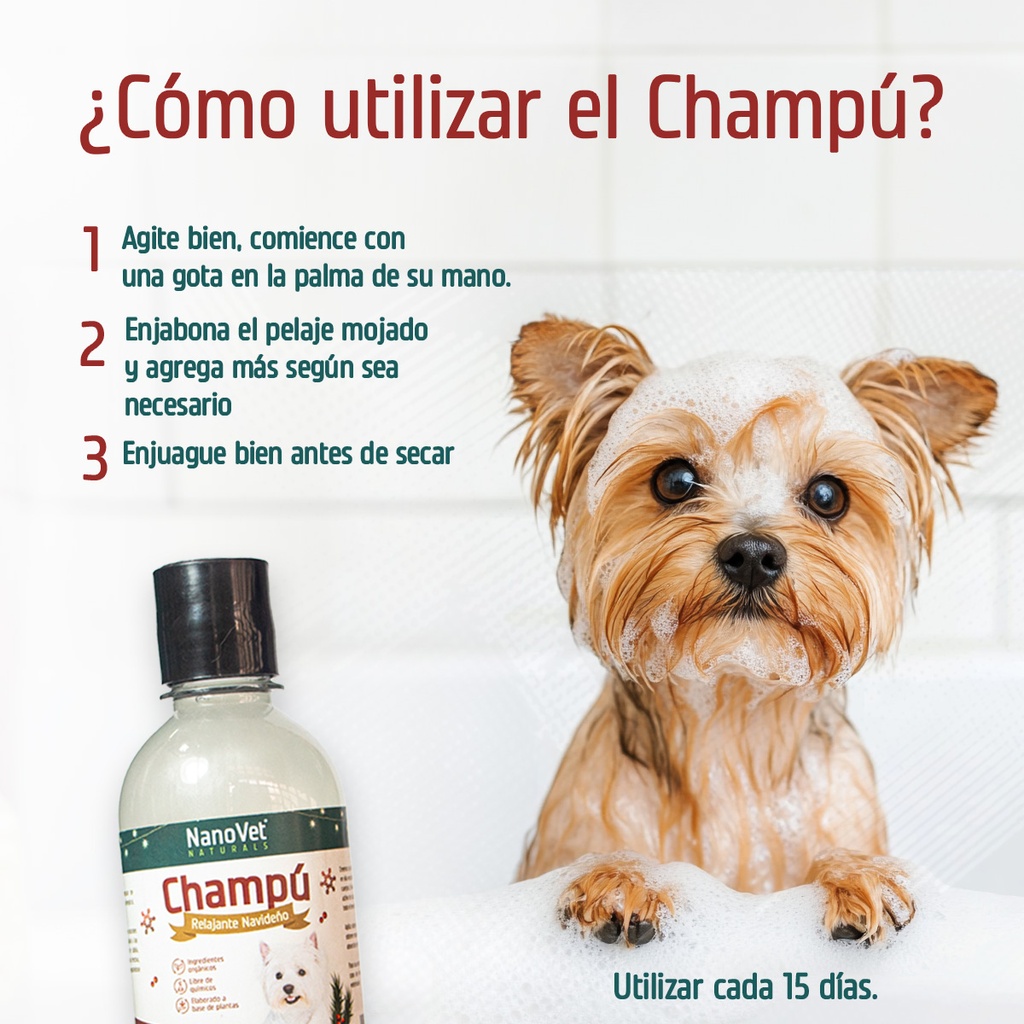 Recomendación de Uso