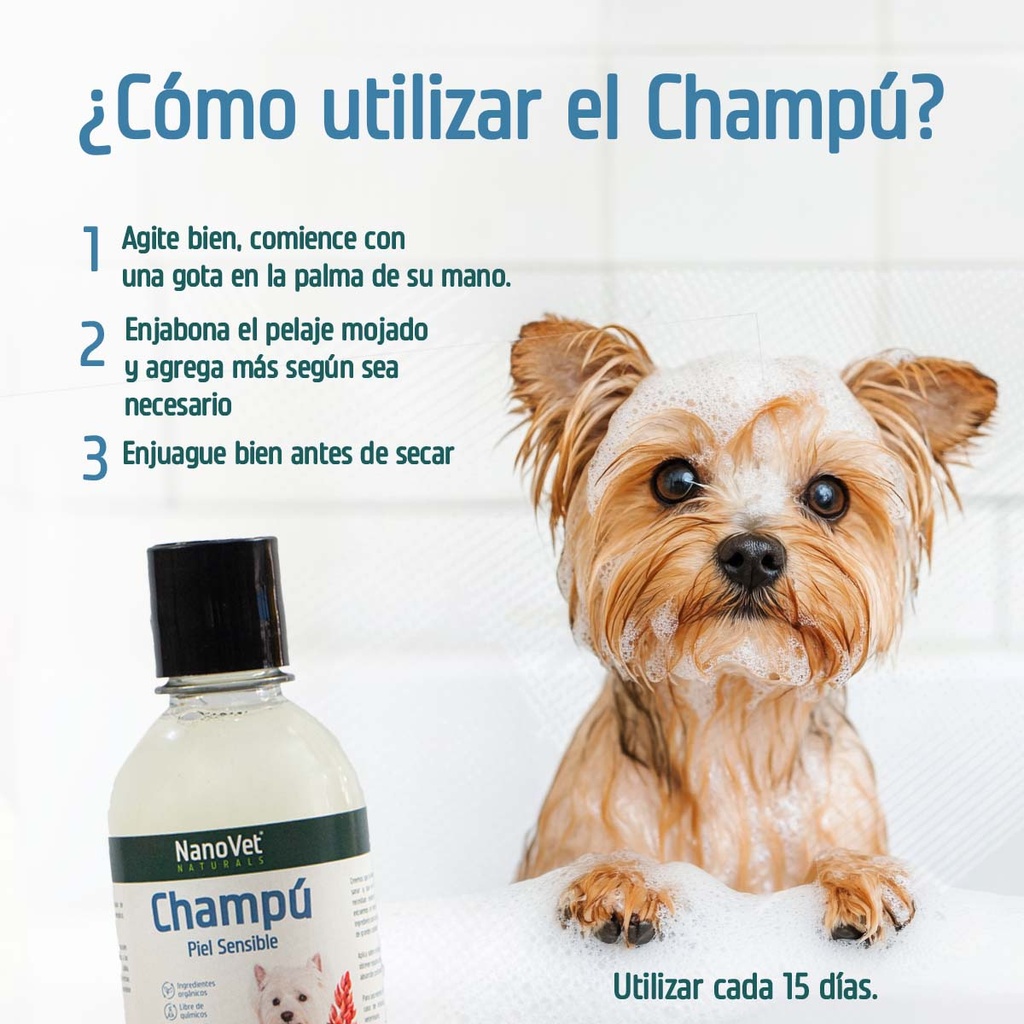 Recomendación de Uso