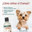 Recomendación de Uso