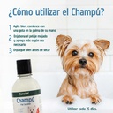 Recomendación de Uso