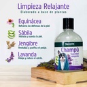 Ingredientes