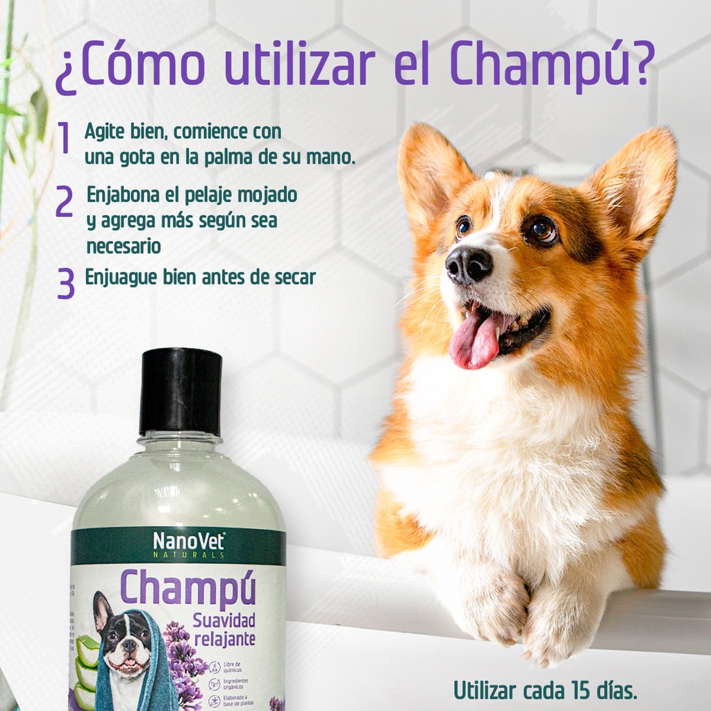 Recomendación de Uso
