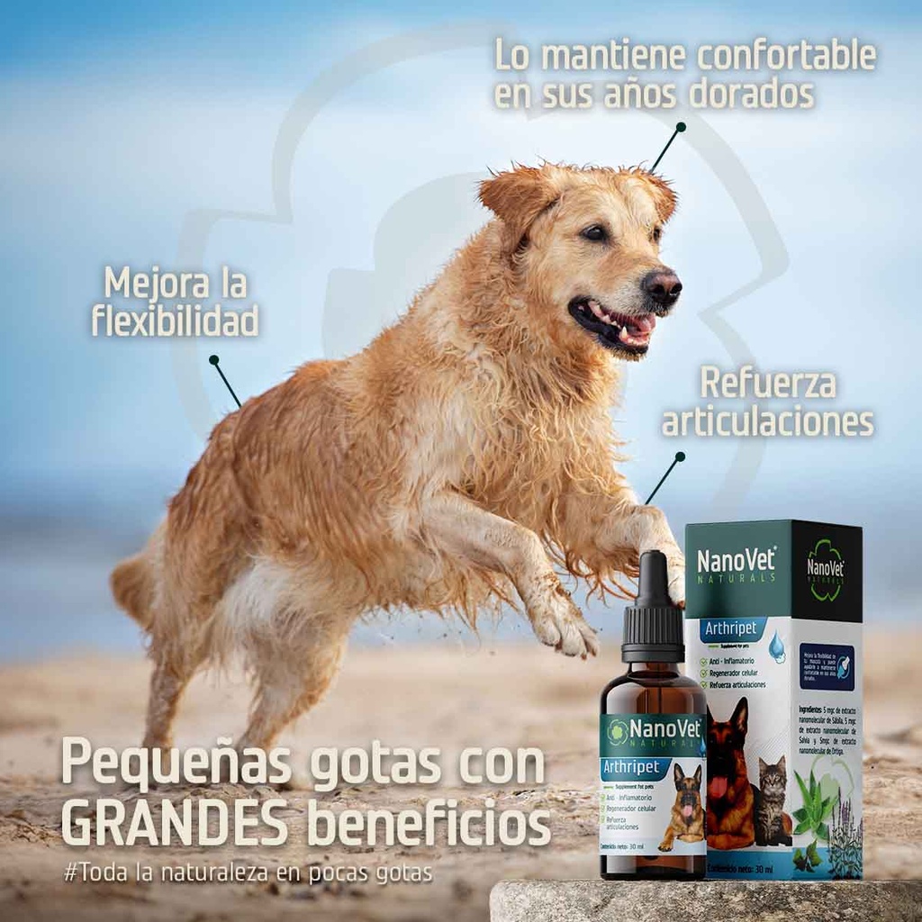 Beneficios