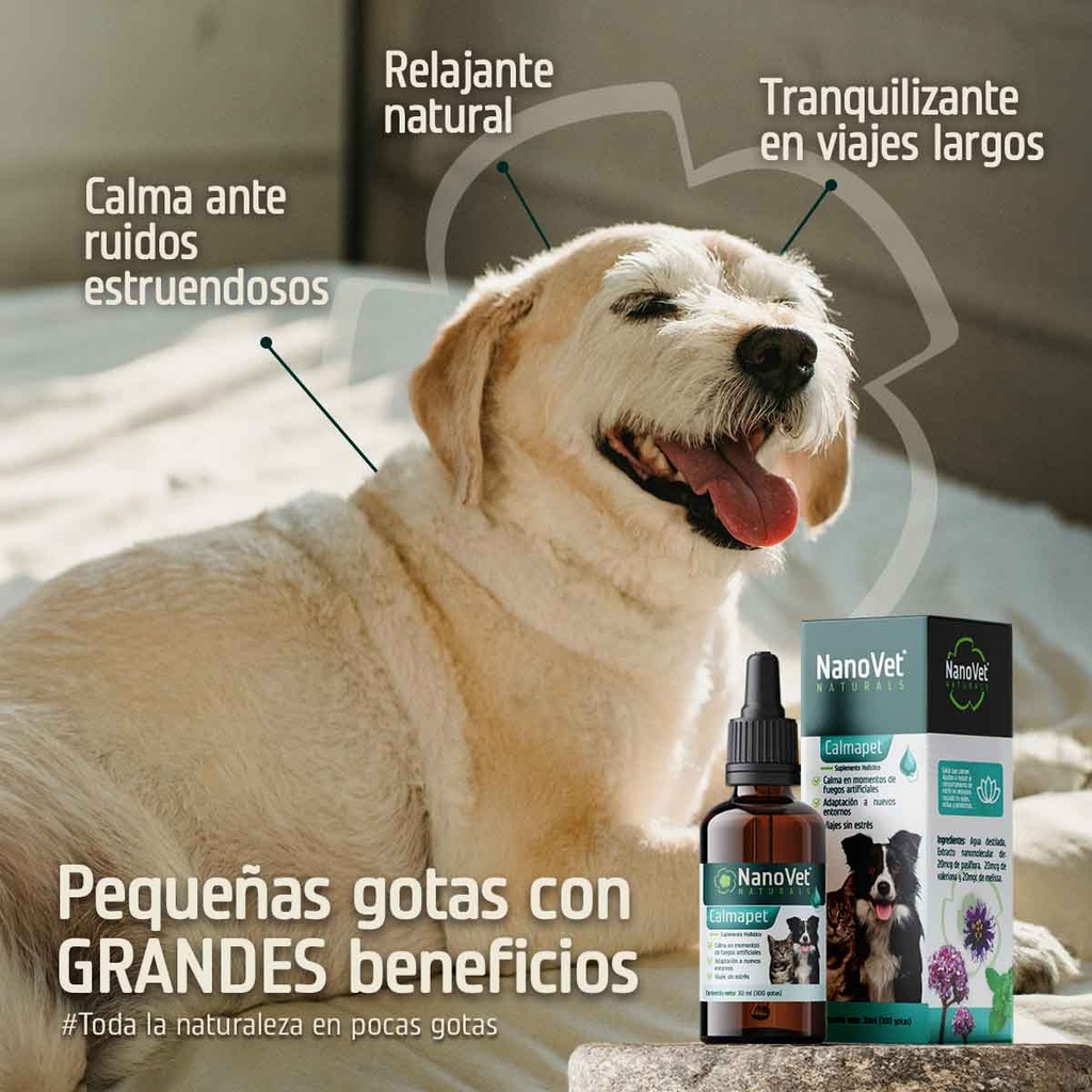 Beneficios
