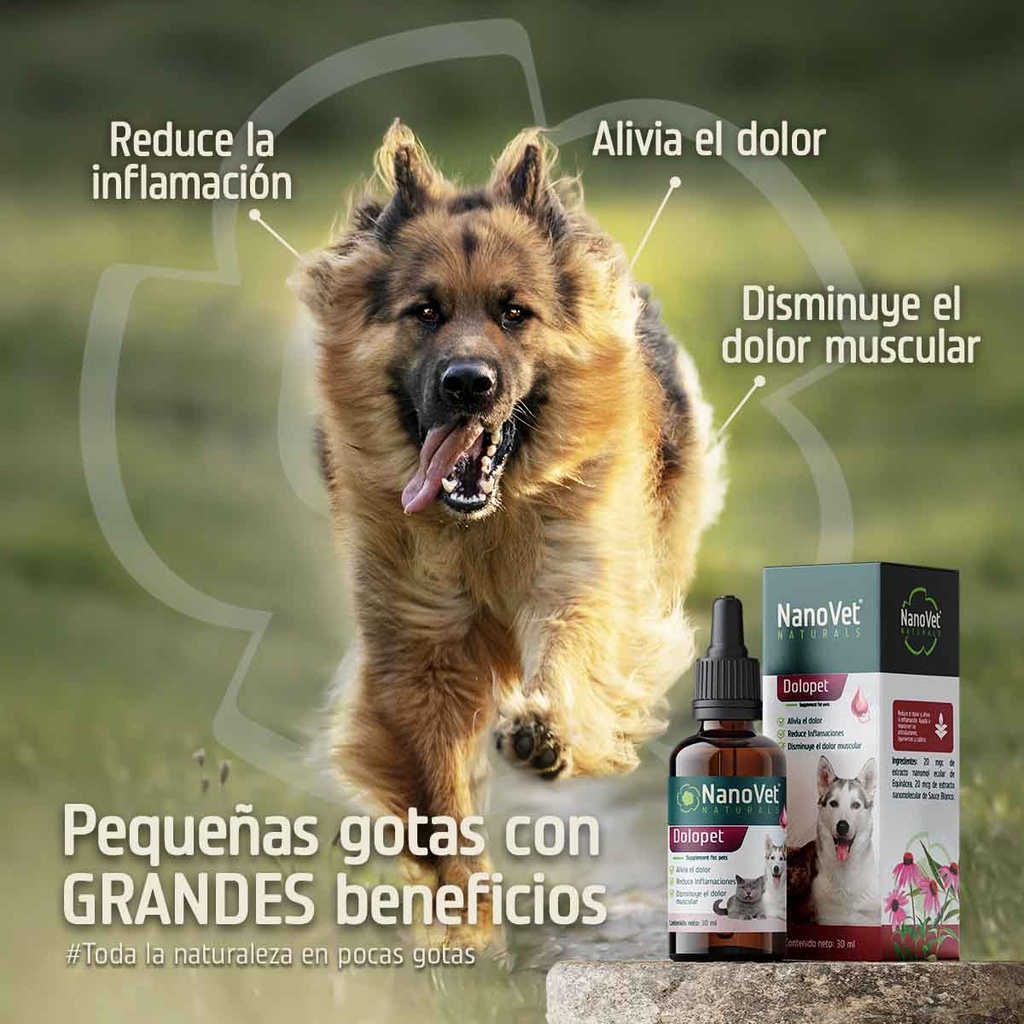 Beneficios