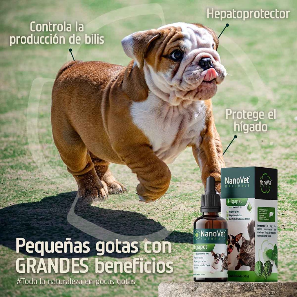 Beneficios