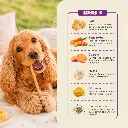 03 Ingredientes - Pollo .webp