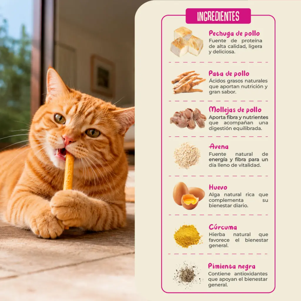 03 Ingredientes Cat Pollo.webp
