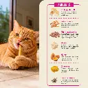 03 Ingredientes Cat Pollo.webp